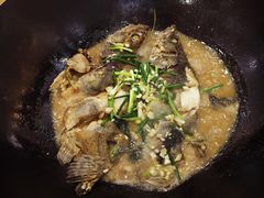 -岩泊渡桂鱼楼活鱼馆