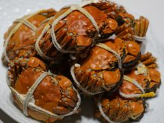 -新光酒家·河豚·海鲜·蟹料理(浦东店)