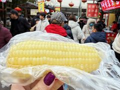 -朱仙镇启封故园景区