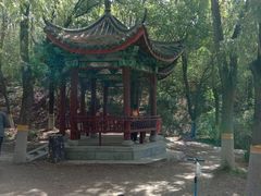 -云岗森林公园