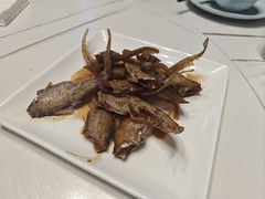 -海金滋(陕西南路店)