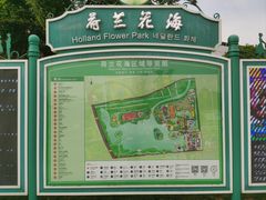 -荷兰花海