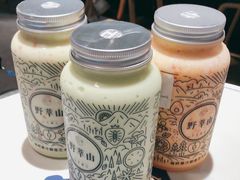 -野萃山·潮汕厚果汁(十亩地店)