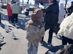 -天津妈祖文化园