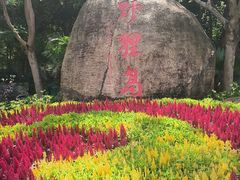 -野狸岛