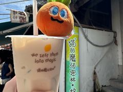 -猫的魔法密林(衣裳街店)