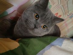 -佳雯宠物医院(四明中路分院)