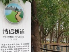 -昆山城市生态森林公园