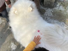 -雨花胜境