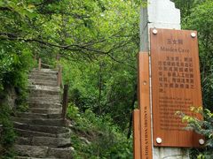 -王顺山国家森林公园