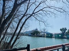 -白塔湖国家湿地公园