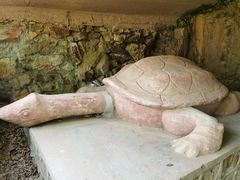 -上海佘山国家森林公园天马山园