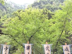 -刘伯温故里景区百丈漈