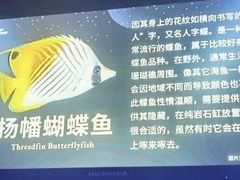 -太平洋海底世界