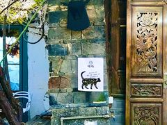 -喵屿·大理花园猫咖