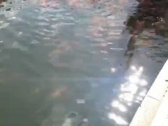 -长春市南湖公园