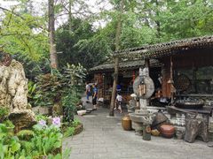 -青城甲(青城山店)