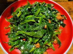 凉拌菠菜-金谷园饺子·烧烤(人大总店)