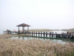 android_upload_pic-新木器时代餐厅(太湖新天地店)