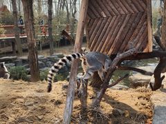 -北京野生动物园