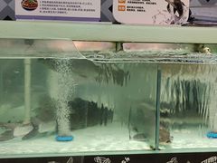 -中百仓储(常青路店)