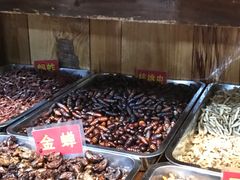 -昆虫窝子·特色云南菜(拓东路总店)