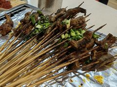 鳝鱼-晓靖轩烧烤(沙河风情店)