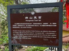 -宝通禅寺