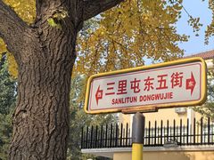 -三里屯东五街银杏大道