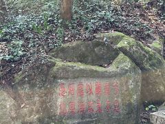 -宁波市保国寺古建筑博物馆