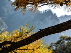-秦岭天竺山生态文化旅游景区