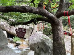 -洛阳白云山景区