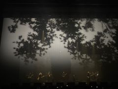 -交通银行前滩31演艺中心