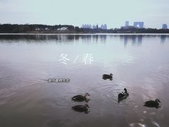 -海珠湖公园