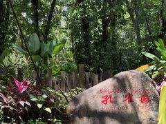 -西双版纳傣族园
