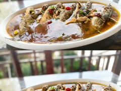 -呼吸森林·生态农庄农家乐私房菜