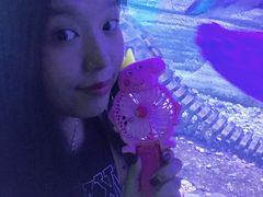 -芜湖新华联大白鲸海洋公园