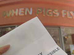 -WHEN PIGS FLY当猪飞