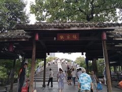 -运河游船(武林门码头)