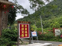 -海南热带雨林国家公园吊罗山景区