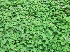 -苏州河梦清园环保主题公园