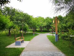 -唐城墙遗址公园
