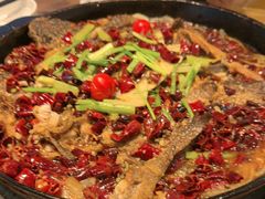 -老板恋上鱼(印象城店)