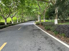 -宜兴龙背山森林公园