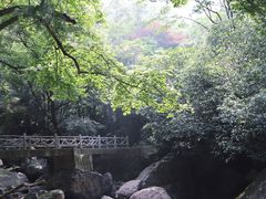 -白云源风景区