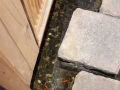 -邈墨茶馆(凤起路店)