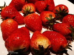 -星伦多自助料理(爱琴海店)
