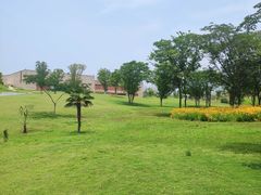 -盘龙城国家考古遗址公园