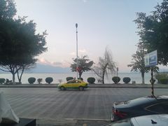 -野菌皇海景野生菌火锅(滨海大道店)
