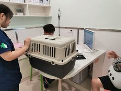 诊室-佳雯宠物医院